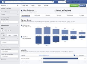 Facebook audience insights